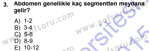 Entomoloji Dersi Ara Sınavı Deneme Sınav Soruları 3. Soru