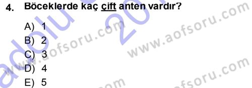 Entomoloji Dersi Ara Sınavı Deneme Sınav Soruları 4. Soru