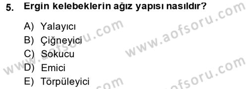 Entomoloji Dersi Ara Sınavı Deneme Sınav Soruları 5. Soru