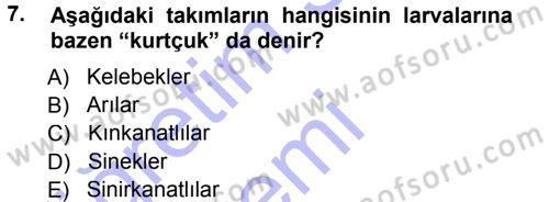 Entomoloji Dersi 2014 - 2015 Yılı (Vize) Ara Sınav Soruları 7. Soru