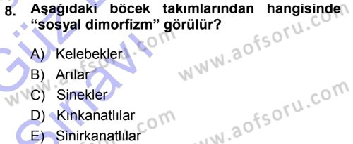 Entomoloji Dersi Ara Sınavı Deneme Sınav Soruları 8. Soru