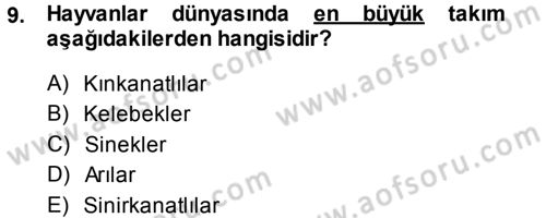 Entomoloji Dersi 2014 - 2015 Yılı (Vize) Ara Sınav Soruları 9. Soru