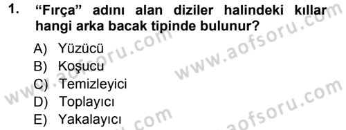 Entomoloji Dersi 2014 - 2015 Yılı (Final) Dönem Sonu Sınav Soruları 1. Soru