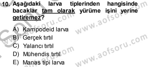 Entomoloji Dersi 2014 - 2015 Yılı (Final) Dönem Sonu Sınav Soruları 10. Soru