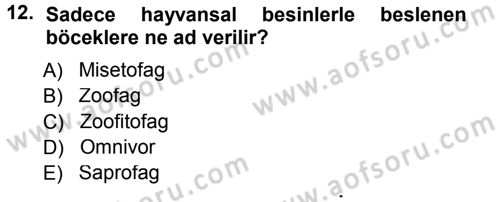 Entomoloji Dersi 2014 - 2015 Yılı (Final) Dönem Sonu Sınav Soruları 12. Soru