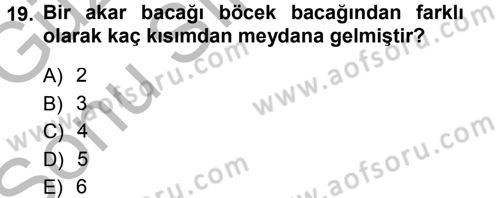 Entomoloji Dersi 2014 - 2015 Yılı (Final) Dönem Sonu Sınav Soruları 19. Soru
