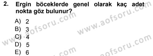 Entomoloji Dersi 2014 - 2015 Yılı (Final) Dönem Sonu Sınav Soruları 2. Soru