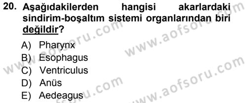 Entomoloji Dersi 2014 - 2015 Yılı (Final) Dönem Sonu Sınav Soruları 20. Soru