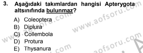 Entomoloji Dersi 2014 - 2015 Yılı (Final) Dönem Sonu Sınav Soruları 3. Soru