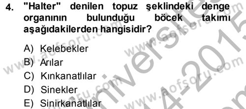 Entomoloji Dersi 2014 - 2015 Yılı (Final) Dönem Sonu Sınav Soruları 4. Soru