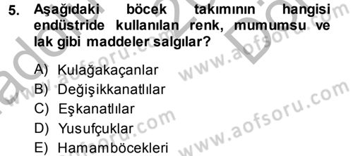 Entomoloji Dersi 2014 - 2015 Yılı (Final) Dönem Sonu Sınav Soruları 5. Soru