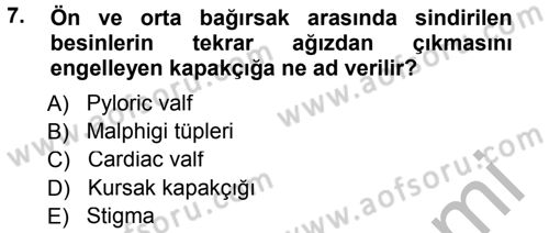 Entomoloji Dersi 2014 - 2015 Yılı (Final) Dönem Sonu Sınav Soruları 7. Soru