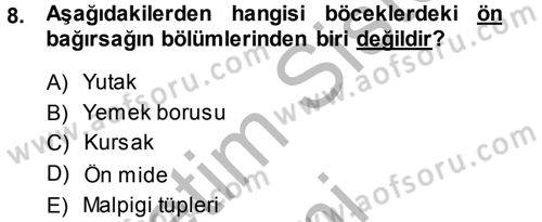 Entomoloji Dersi 2014 - 2015 Yılı (Final) Dönem Sonu Sınav Soruları 8. Soru