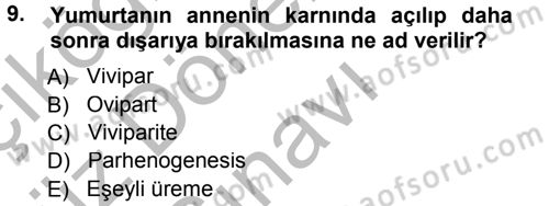 Entomoloji Dersi 2014 - 2015 Yılı (Final) Dönem Sonu Sınav Soruları 9. Soru