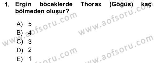 Entomoloji Dersi 2015 - 2016 Yılı (Vize) Ara Sınav Soruları 1. Soru