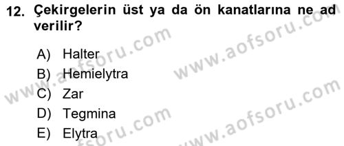 Entomoloji Dersi Ara Sınavı Deneme Sınav Soruları 12. Soru