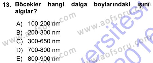 Entomoloji Dersi Ara Sınavı Deneme Sınav Soruları 13. Soru