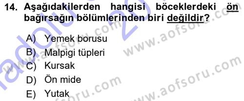 Entomoloji Dersi Ara Sınavı Deneme Sınav Soruları 14. Soru