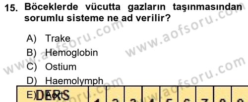 Entomoloji Dersi 2015 - 2016 Yılı (Vize) Ara Sınav Soruları 15. Soru