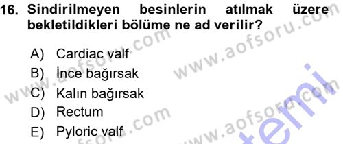 Entomoloji Dersi 2015 - 2016 Yılı (Vize) Ara Sınav Soruları 16. Soru