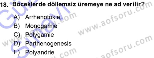 Entomoloji Dersi 2015 - 2016 Yılı (Vize) Ara Sınav Soruları 18. Soru