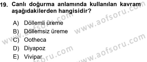Entomoloji Dersi Ara Sınavı Deneme Sınav Soruları 19. Soru