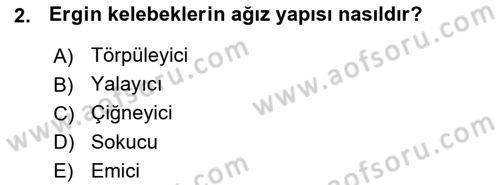 Entomoloji Dersi Ara Sınavı Deneme Sınav Soruları 2. Soru