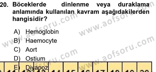 Entomoloji Dersi Ara Sınavı Deneme Sınav Soruları 20. Soru