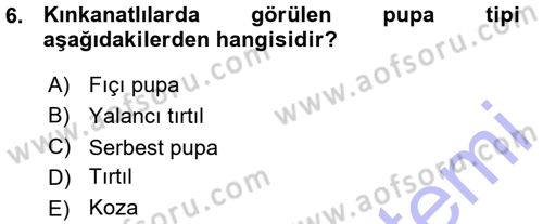 Entomoloji Dersi 2015 - 2016 Yılı (Vize) Ara Sınav Soruları 6. Soru