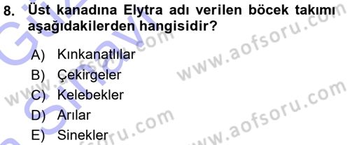Entomoloji Dersi Ara Sınavı Deneme Sınav Soruları 8. Soru