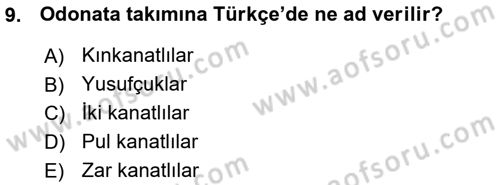 Entomoloji Dersi 2015 - 2016 Yılı (Vize) Ara Sınav Soruları 9. Soru