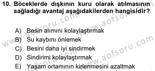Entomoloji Dersi 2015 - 2016 Yılı (Final) Dönem Sonu Sınav Soruları 10. Soru