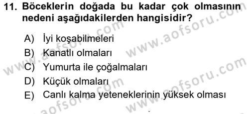 Entomoloji Dersi 2015 - 2016 Yılı (Final) Dönem Sonu Sınav Soruları 11. Soru