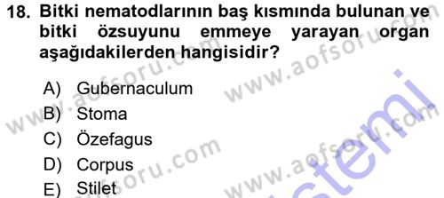 Entomoloji Dersi 2015 - 2016 Yılı (Final) Dönem Sonu Sınav Soruları 18. Soru