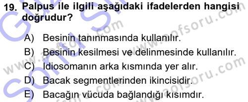 Entomoloji Dersi 2015 - 2016 Yılı (Final) Dönem Sonu Sınav Soruları 19. Soru