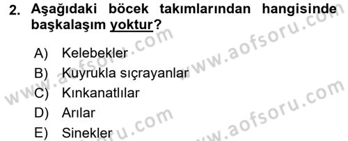 Entomoloji Dersi 2015 - 2016 Yılı (Final) Dönem Sonu Sınav Soruları 2. Soru