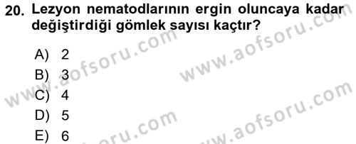 Entomoloji Dersi 2015 - 2016 Yılı (Final) Dönem Sonu Sınav Soruları 20. Soru