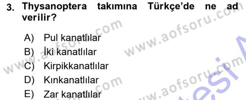 Entomoloji Dersi 2015 - 2016 Yılı (Final) Dönem Sonu Sınav Soruları 3. Soru