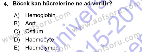 Entomoloji Dersi 2015 - 2016 Yılı (Final) Dönem Sonu Sınav Soruları 4. Soru
