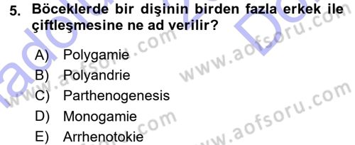 Entomoloji Dersi 2015 - 2016 Yılı (Final) Dönem Sonu Sınav Soruları 5. Soru