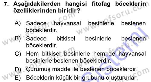 Entomoloji Dersi 2015 - 2016 Yılı (Final) Dönem Sonu Sınav Soruları 7. Soru