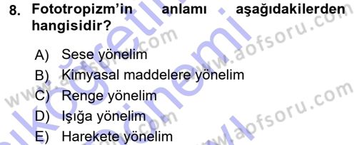Entomoloji Dersi 2015 - 2016 Yılı (Final) Dönem Sonu Sınav Soruları 8. Soru