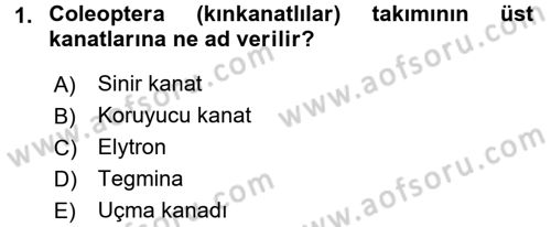 Entomoloji Dersi 2015 - 2016 Yılı Tek Ders Sınav Soruları 1. Soru