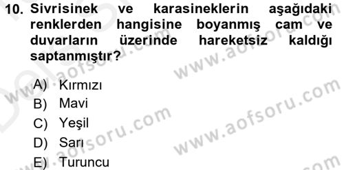 Entomoloji Dersi 2015 - 2016 Yılı Tek Ders Sınav Soruları 10. Soru