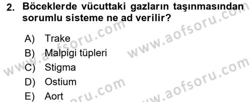 Entomoloji Dersi 2015 - 2016 Yılı Tek Ders Sınav Soruları 2. Soru