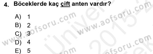 Entomoloji Dersi 2015 - 2016 Yılı Tek Ders Sınav Soruları 4. Soru