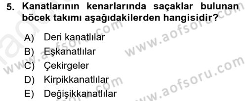 Entomoloji Dersi 2015 - 2016 Yılı Tek Ders Sınav Soruları 5. Soru