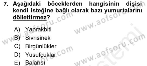 Entomoloji Dersi 2015 - 2016 Yılı Tek Ders Sınav Soruları 7. Soru