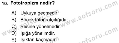 Entomoloji Dersi 2016 - 2017 Yılı 3 Ders Sınav Soruları 10. Soru