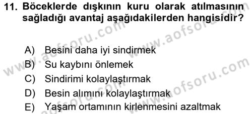 Entomoloji Dersi 2016 - 2017 Yılı 3 Ders Sınav Soruları 11. Soru